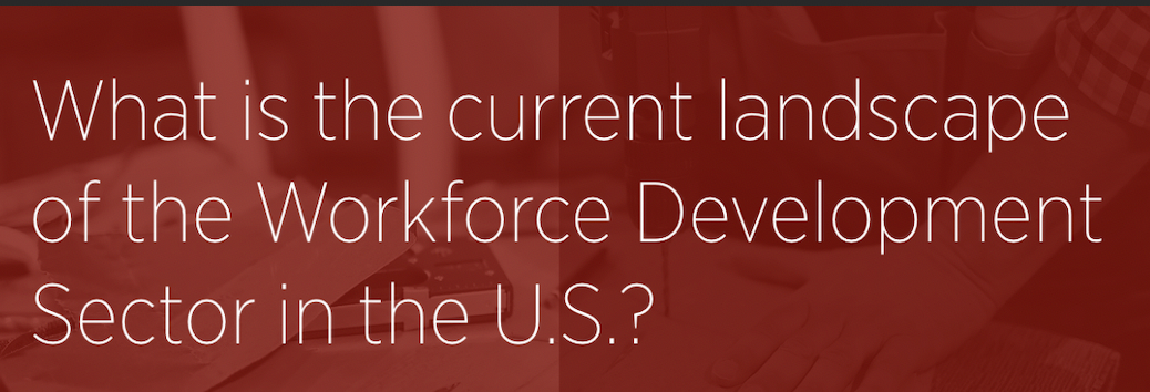 What is the current landscape of the Workforce Development Sector in the U.S.?